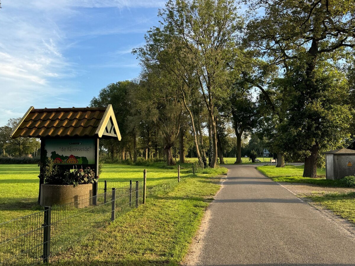Dienstregeling